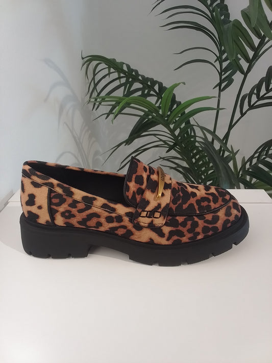 459K799-IN25 LEOPARDO AZAREY