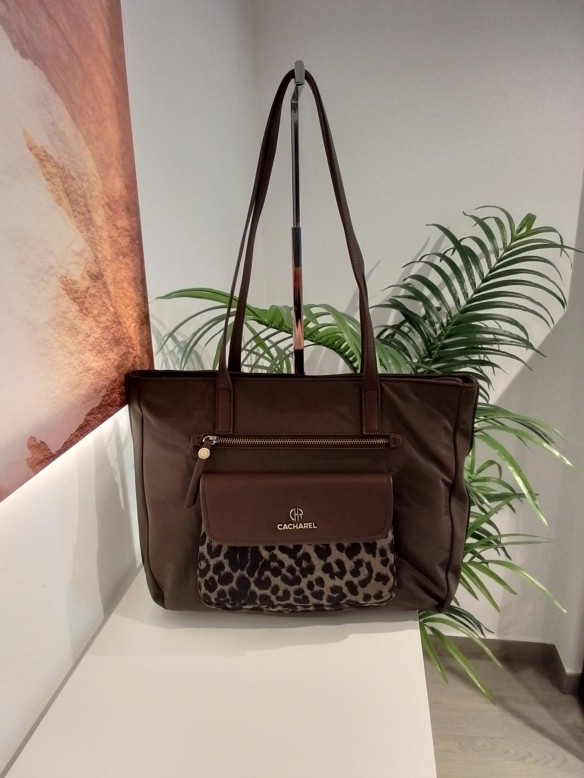 CP262075 MOKA CACHAREL