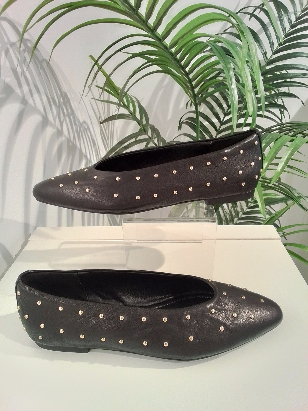 5723 NEGRO ANOTHER TREND