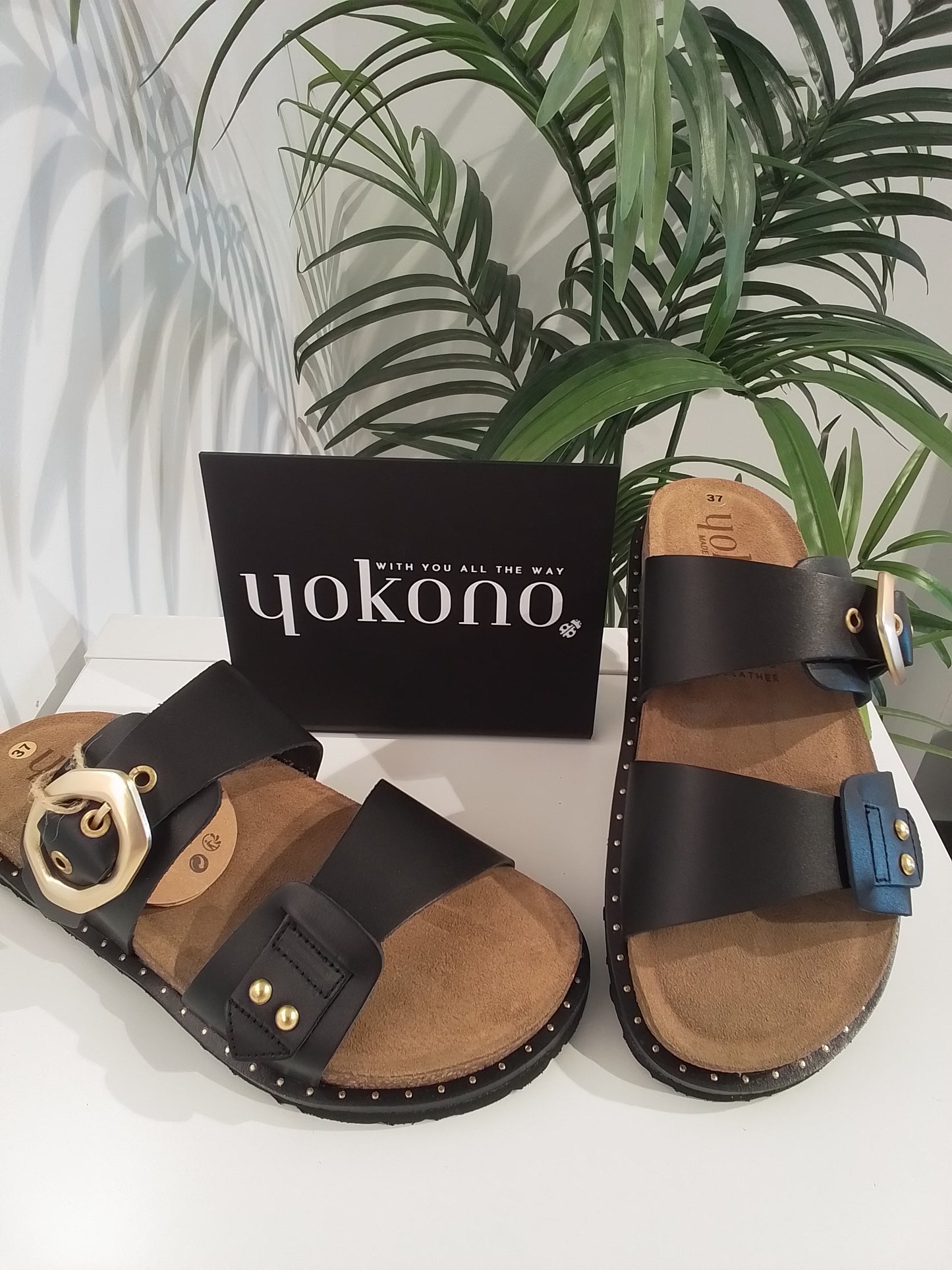 BOLUS254 NEGRO YOKONO