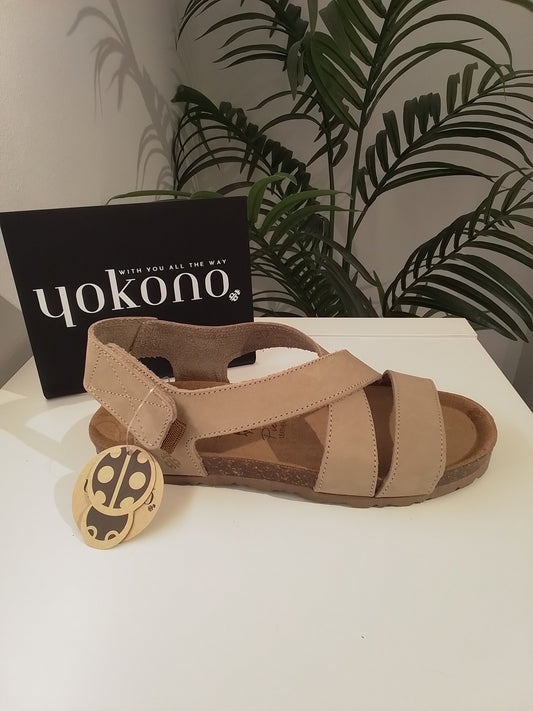 VILLA253-V25 ARENA YOKONO
