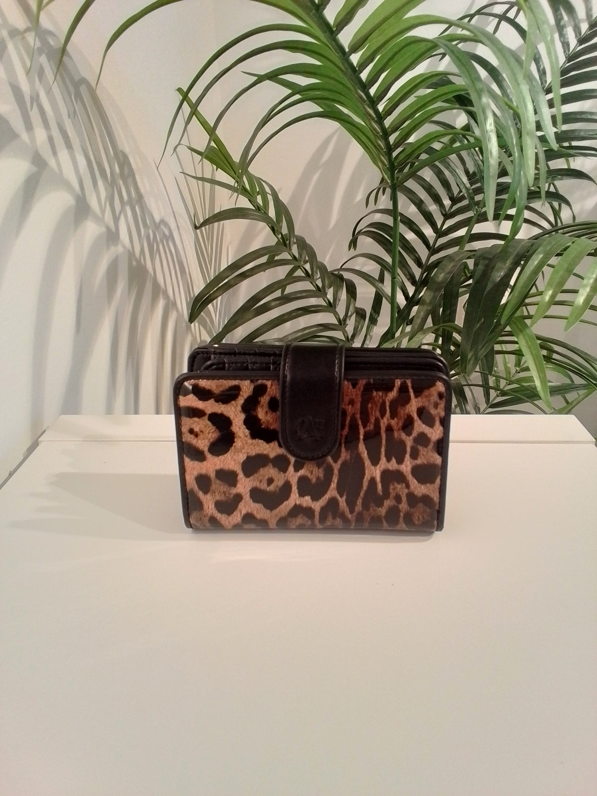 BC2624 CARTERA/S CACHAREL