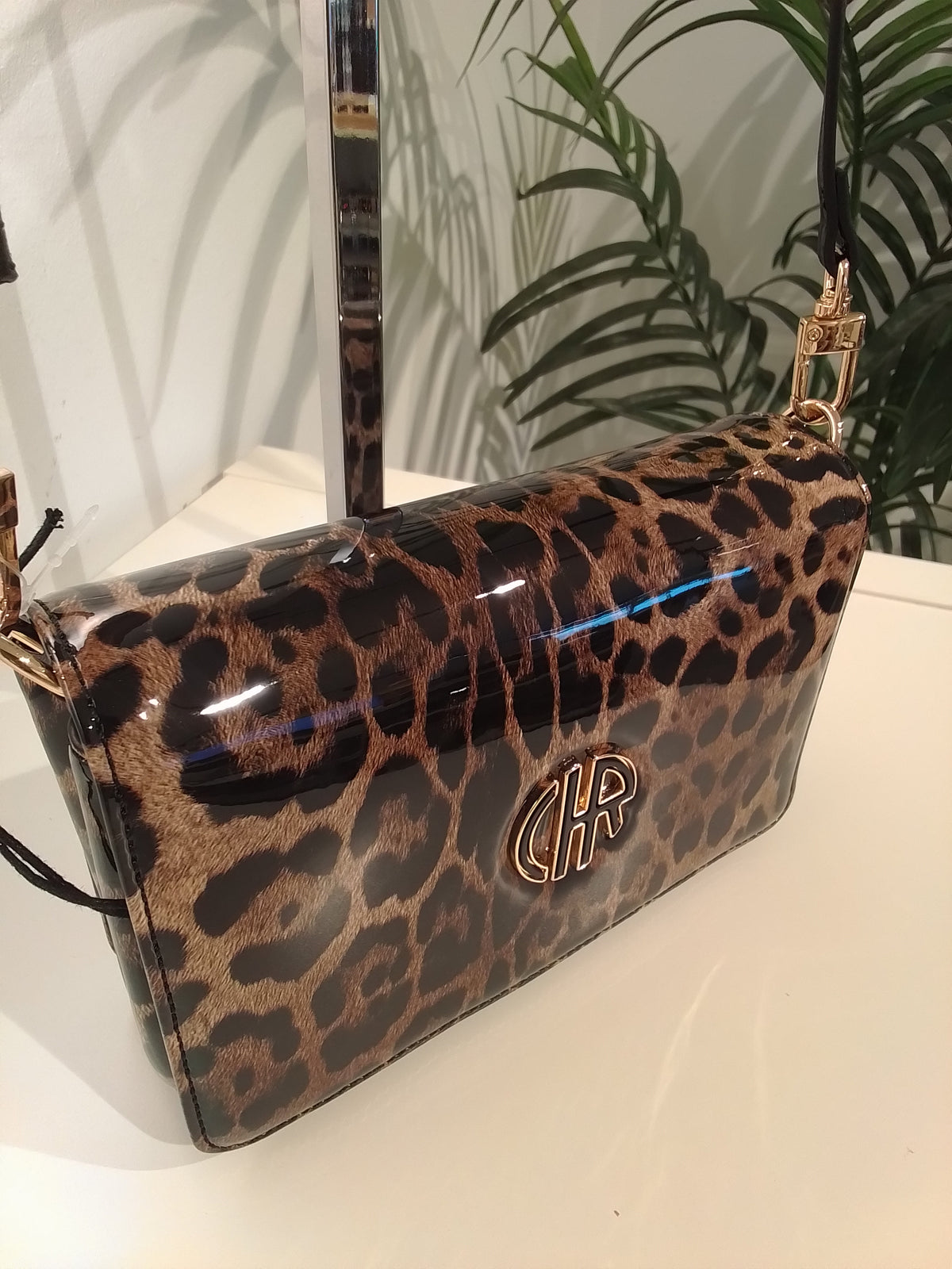 CS262090 LEOPARDO CACHAREL