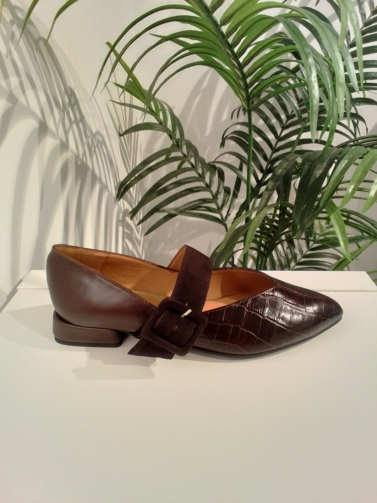 26588 MOKA DANIELA