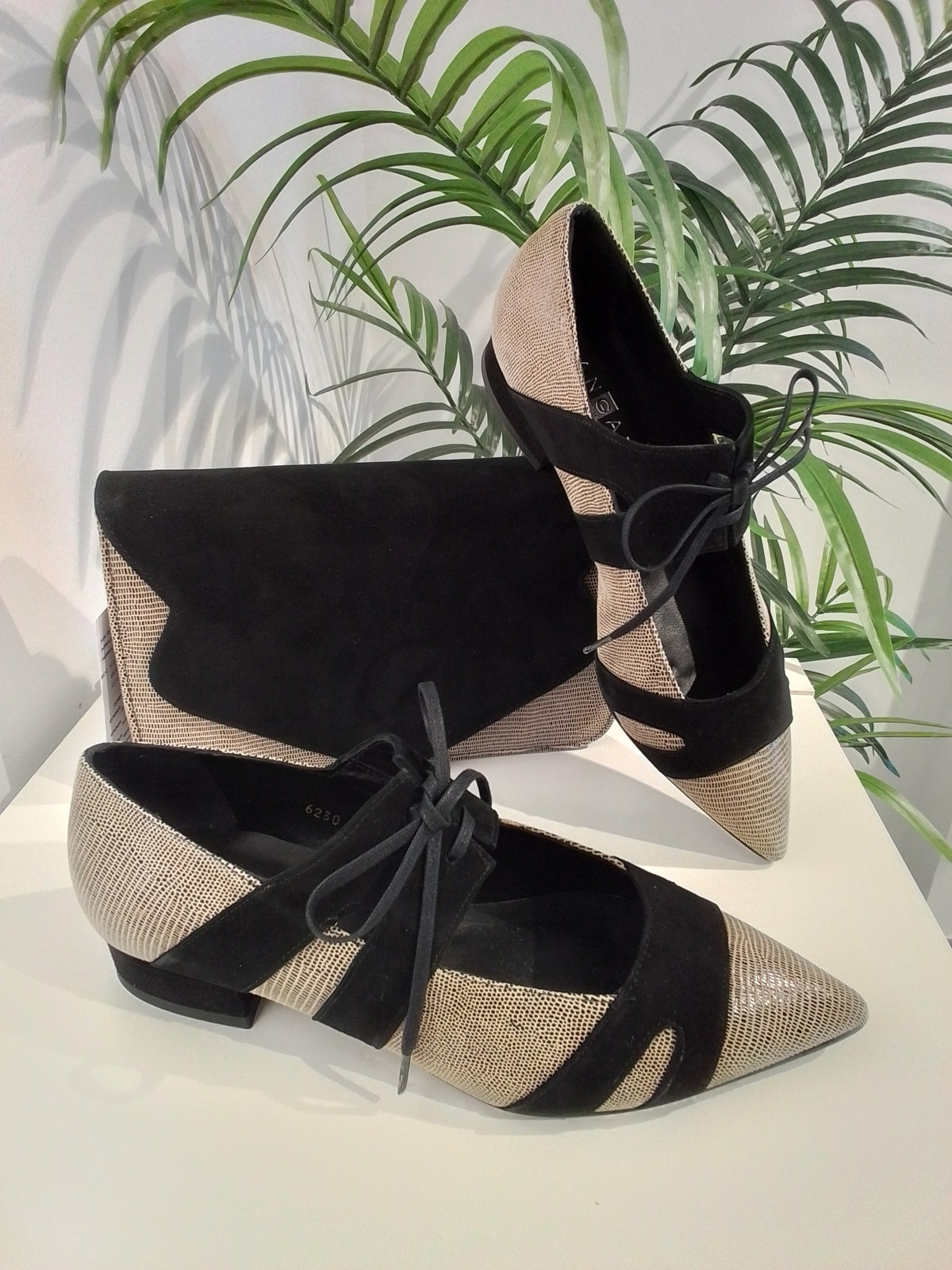 54167-IN27 NEGRO ANGARI