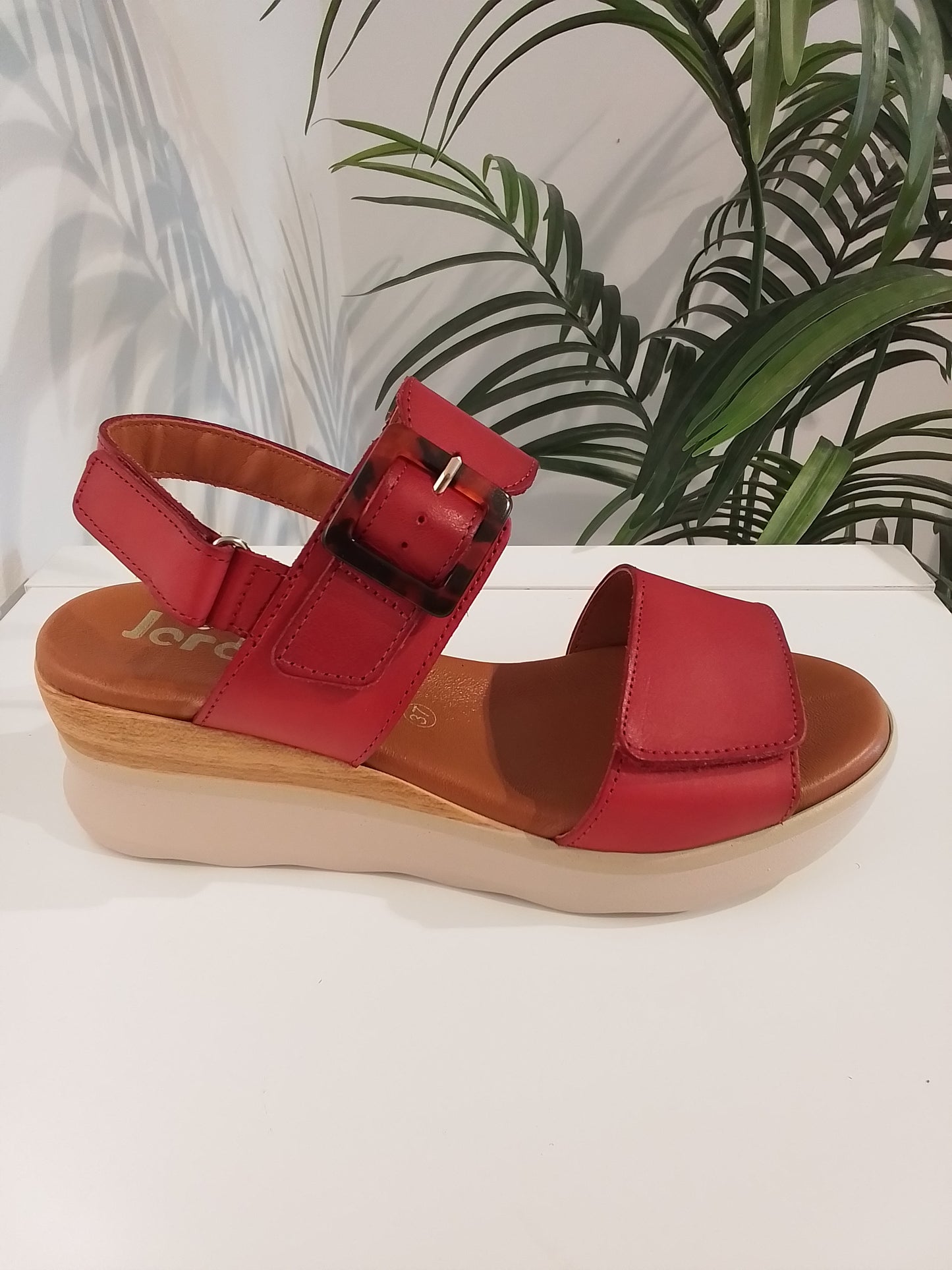 4562 ROJO JORDANA