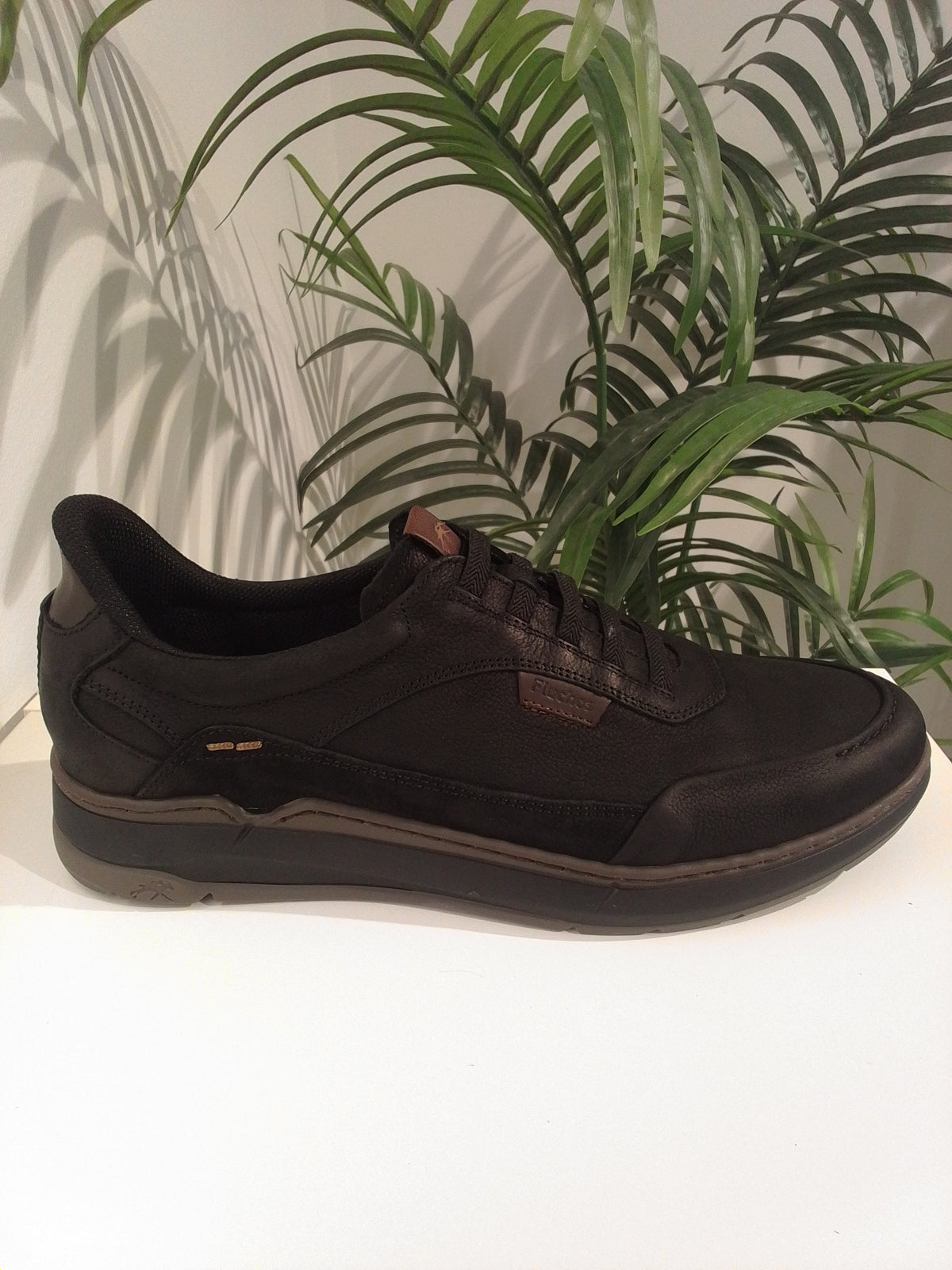 F2511 VEGABUCK NEGRO FLUCHOS