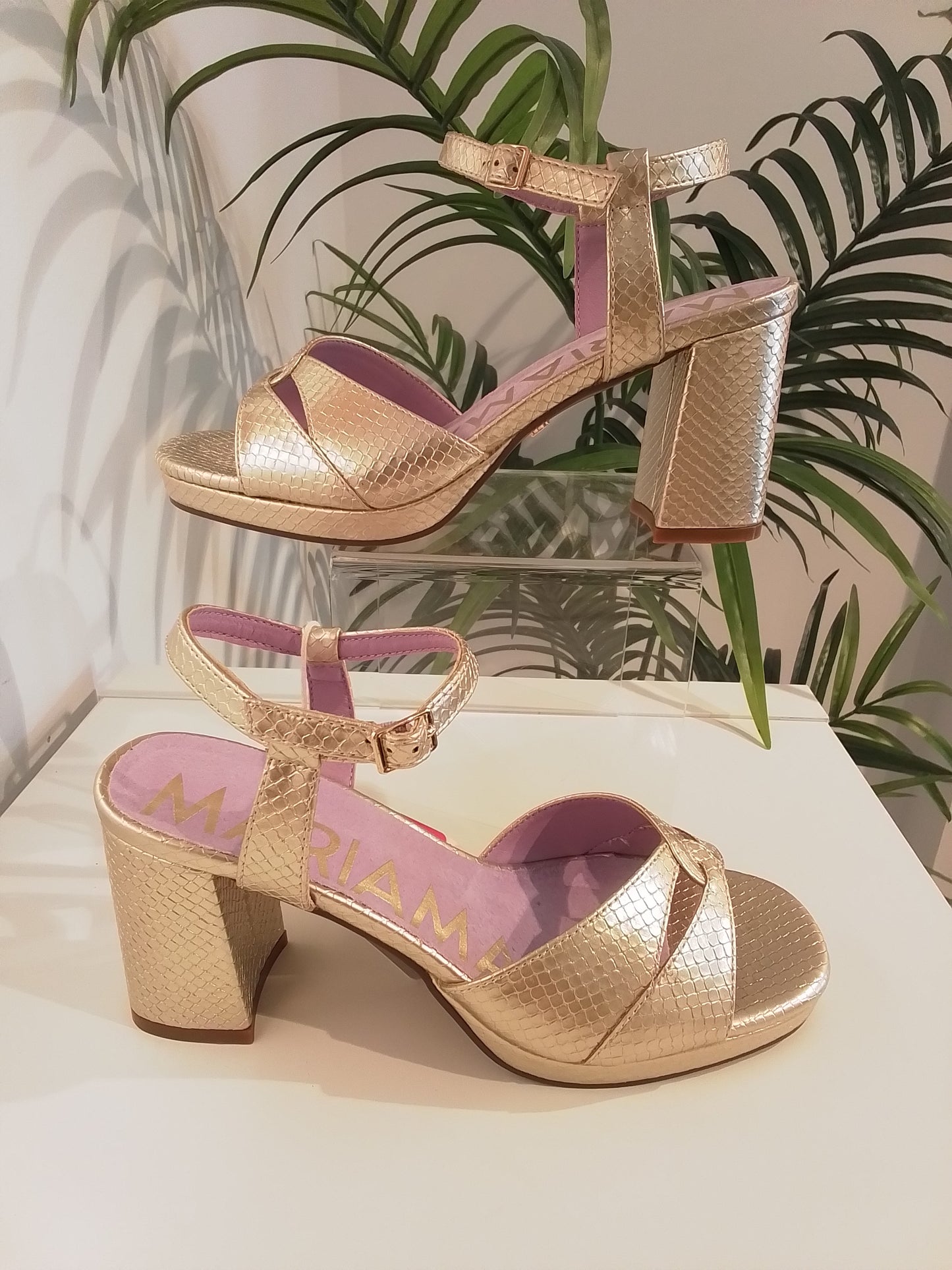 68716 CHAMPAGNE MARIAMARE