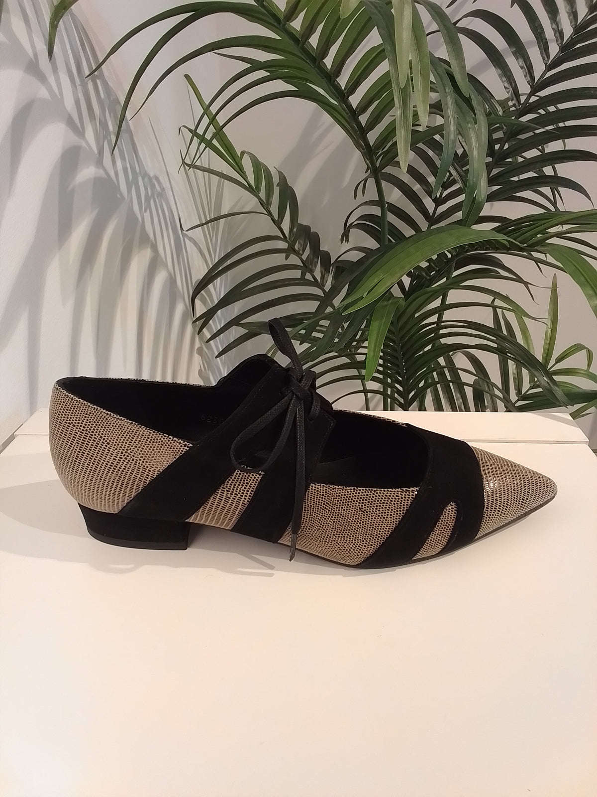 54167-IN27 NEGRO ANGARI