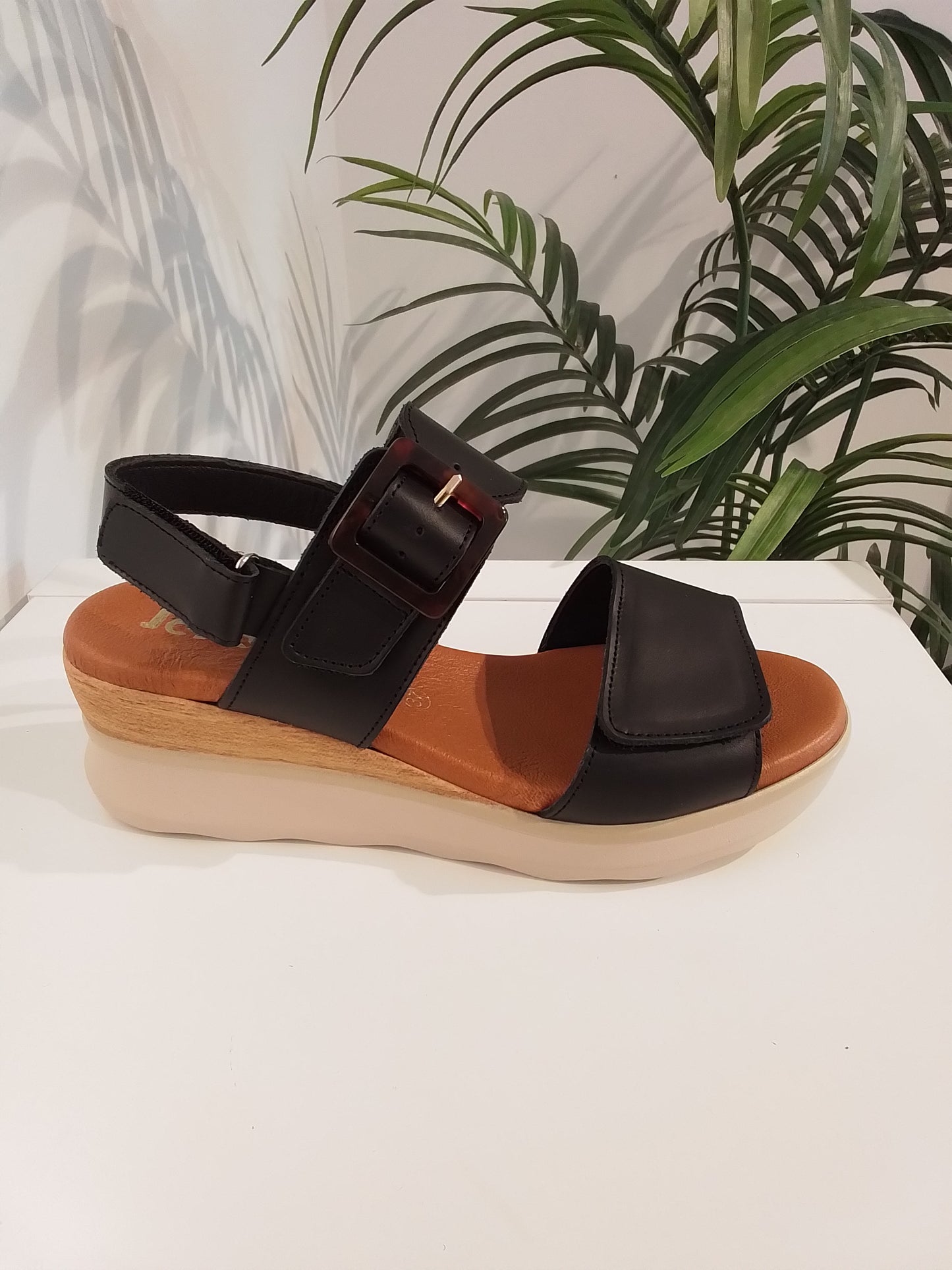 4562 NEGRO JORDANA