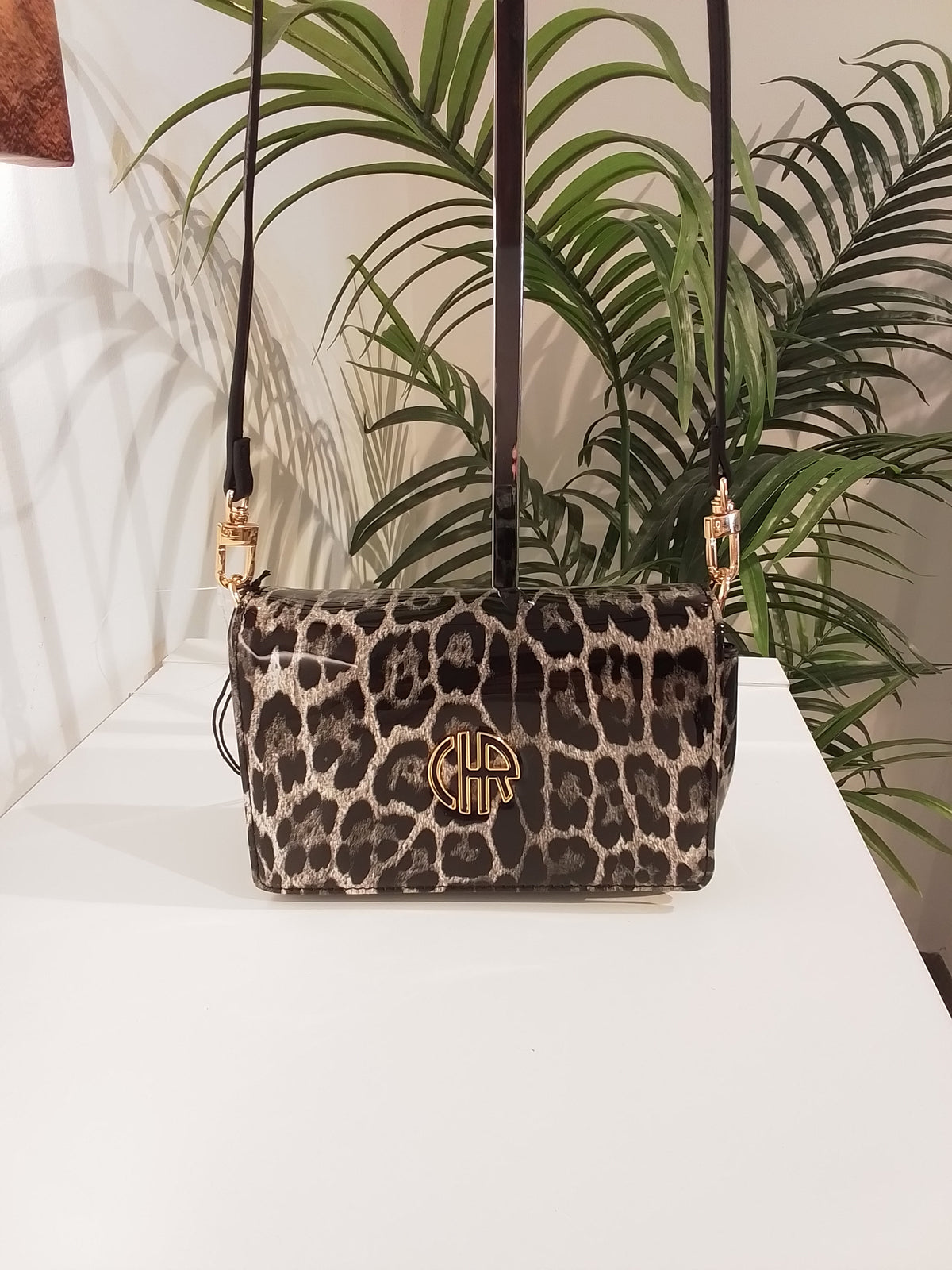 CS262090 NEGRO CACHAREL