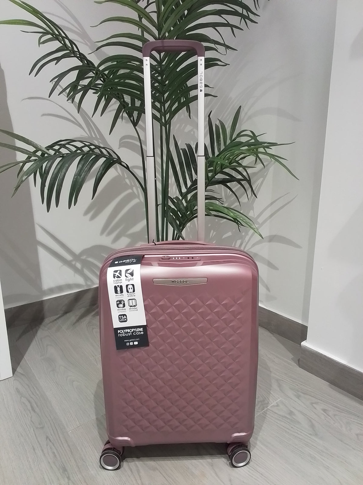 125022 MALETA CABINA LILA GABOL