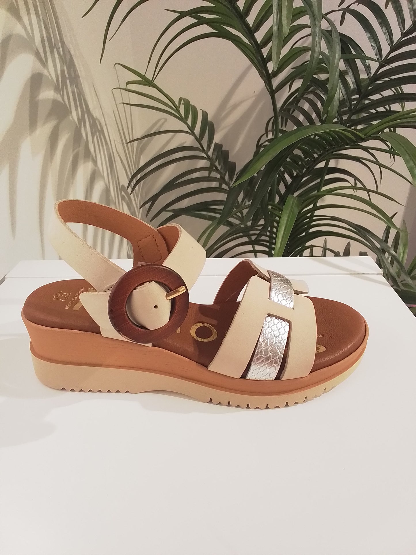 153576 BEIGE PLATA MOLONAS