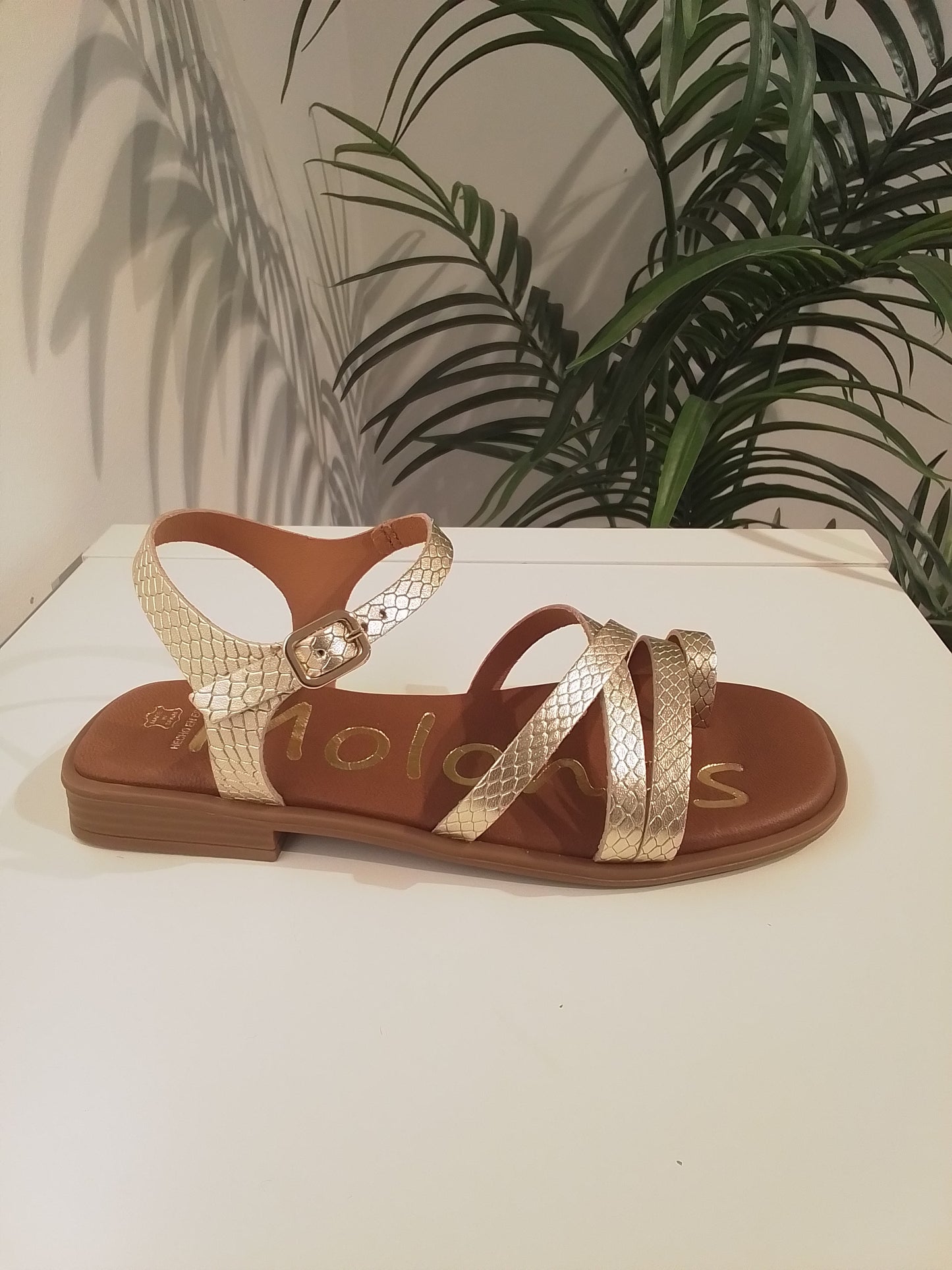 162713 ORO MOLONAS