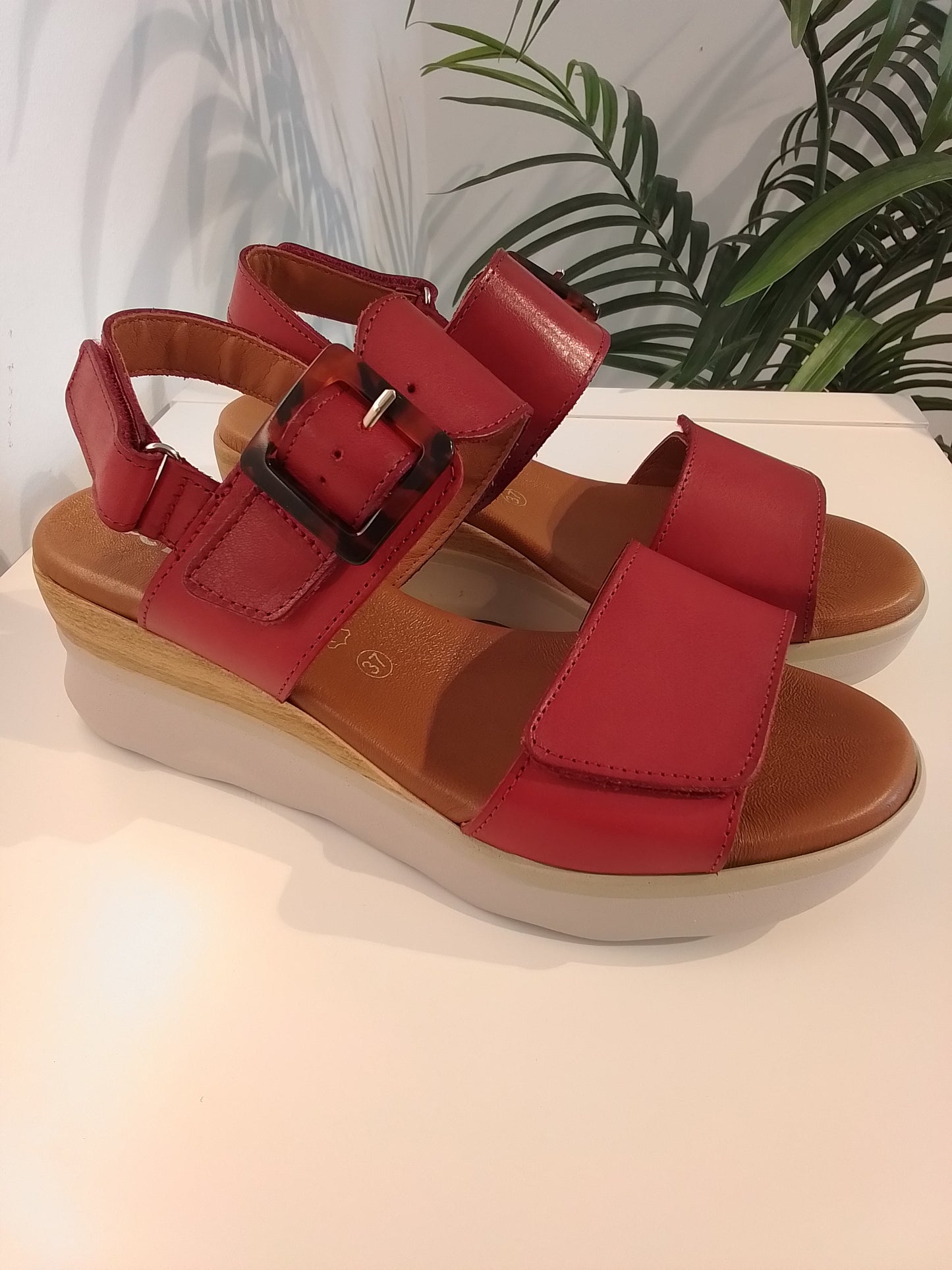 4562 ROJO JORDANA