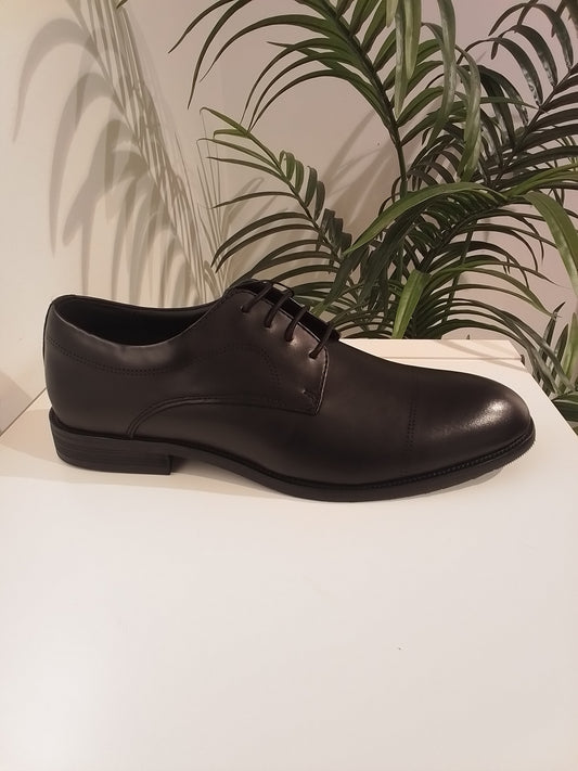 25583 ALSINA NEGRO LINO CLEMENTE