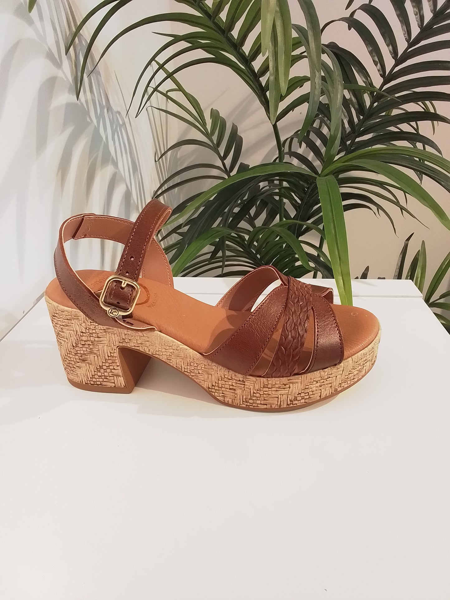 12604 MARRON LOLA CANALES