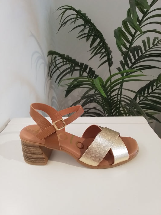 951-V25 CAMEL/ORO MOLONAS