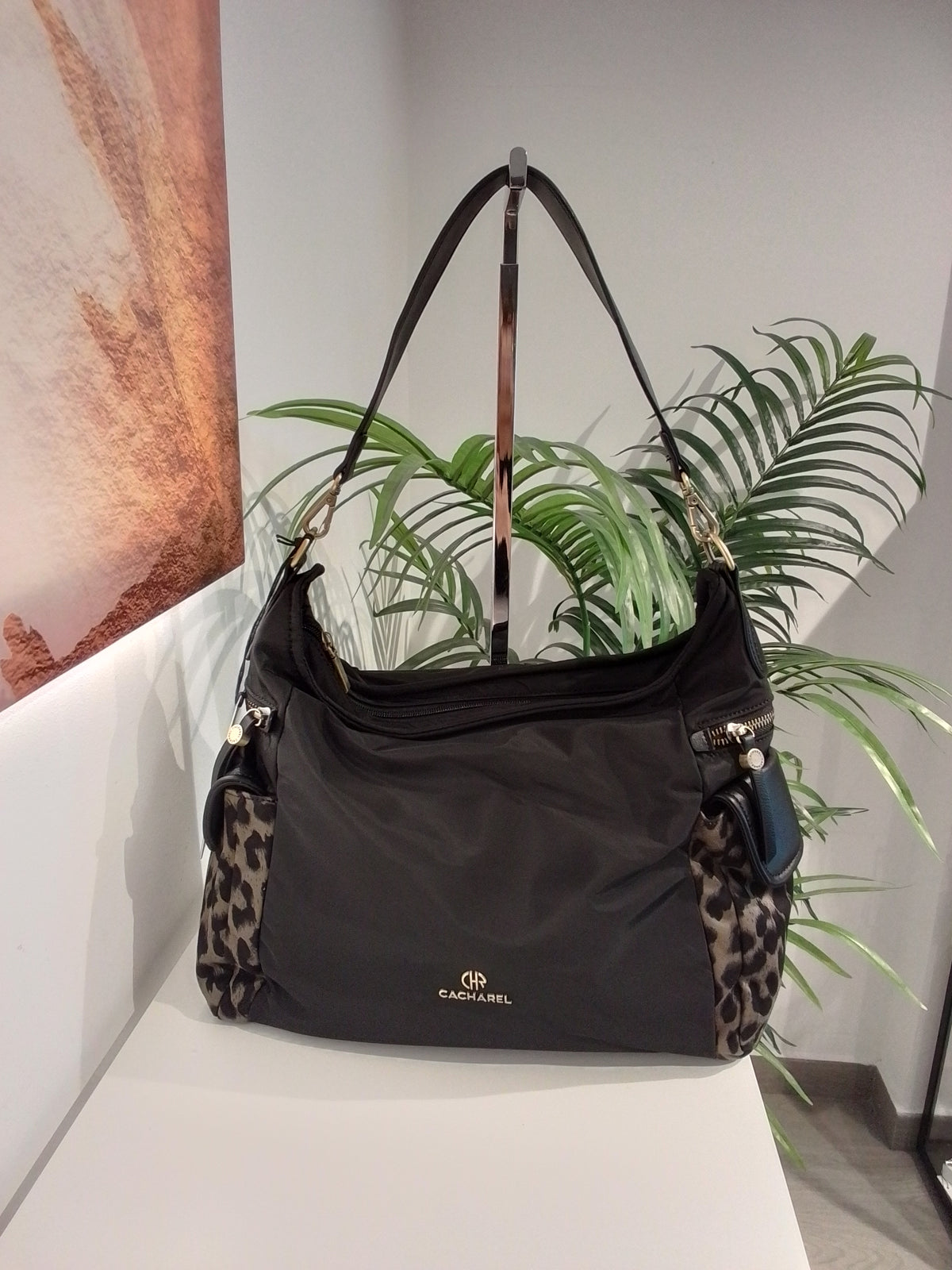 CP262073 NEGRO CACHAREL
