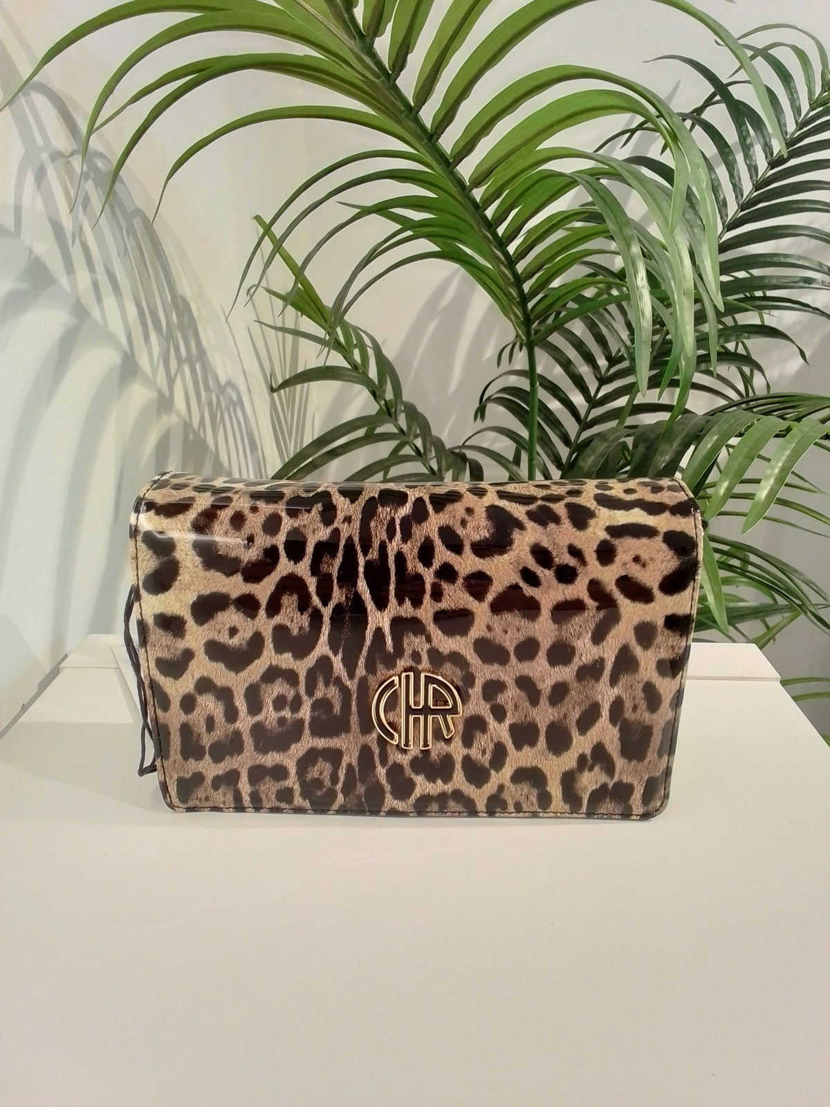 CS262091 TAUPE CACHAREL