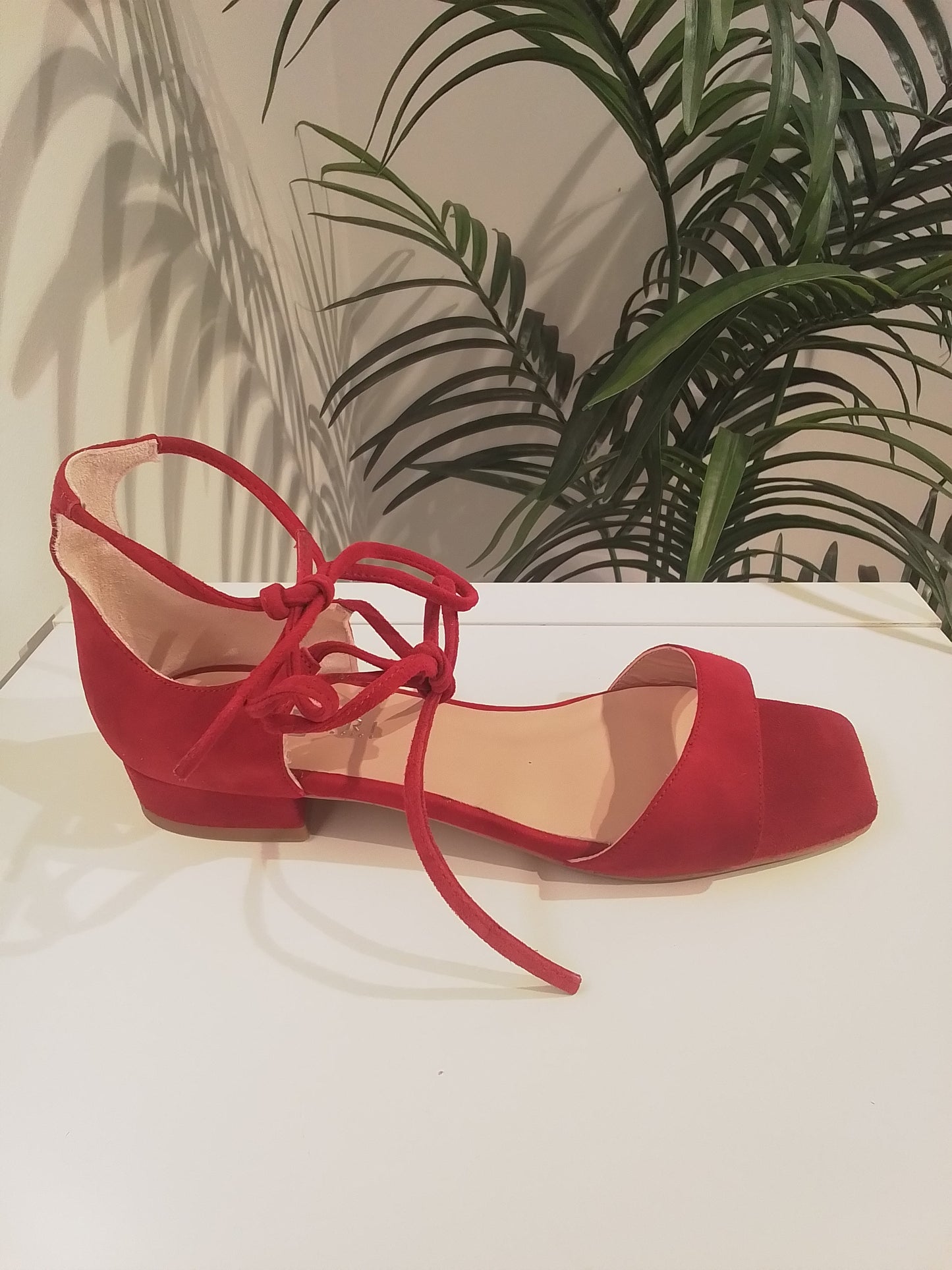 52182 ROJO ANGARI