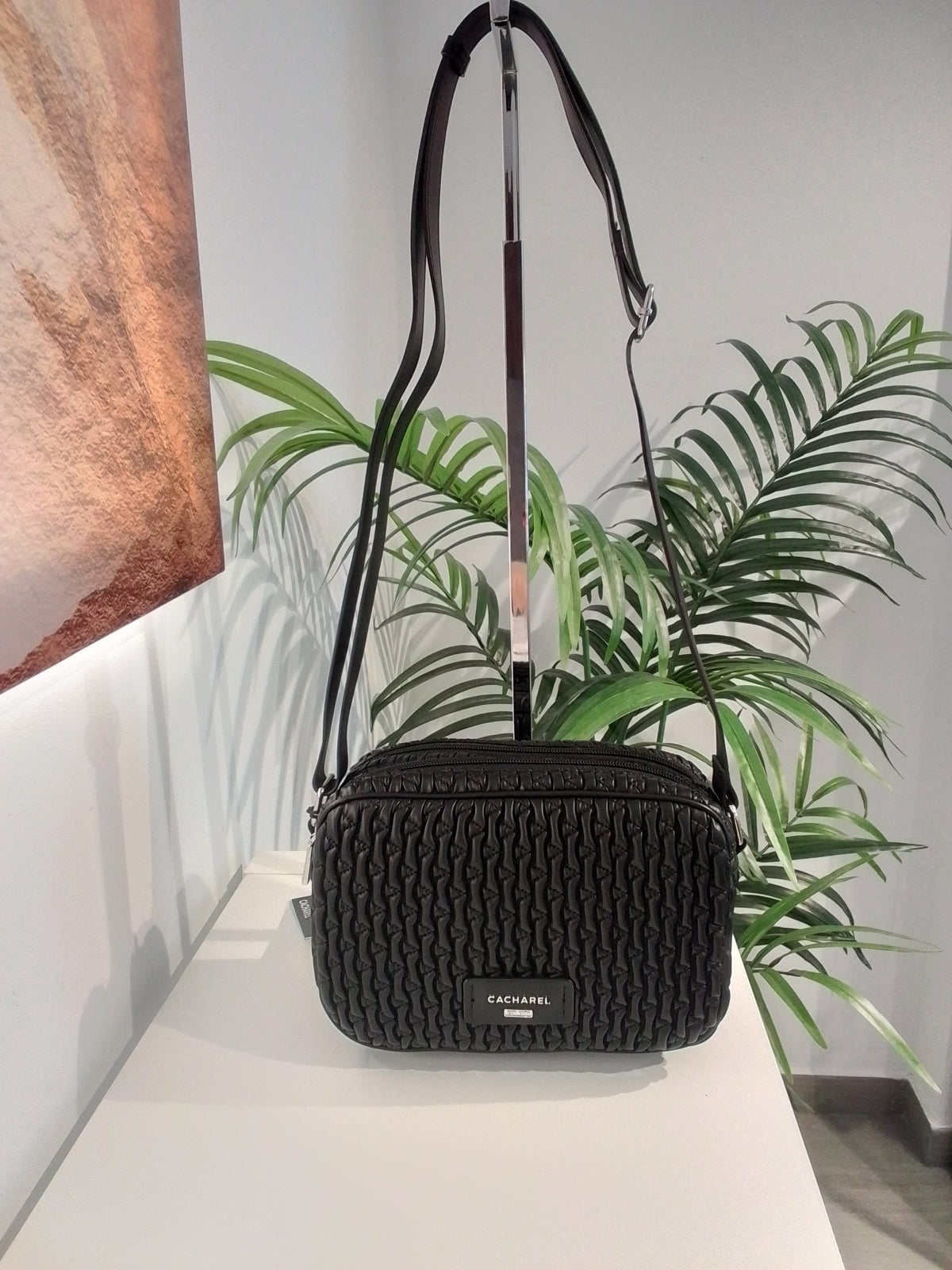 CW262114 NEGRO CACHAREL