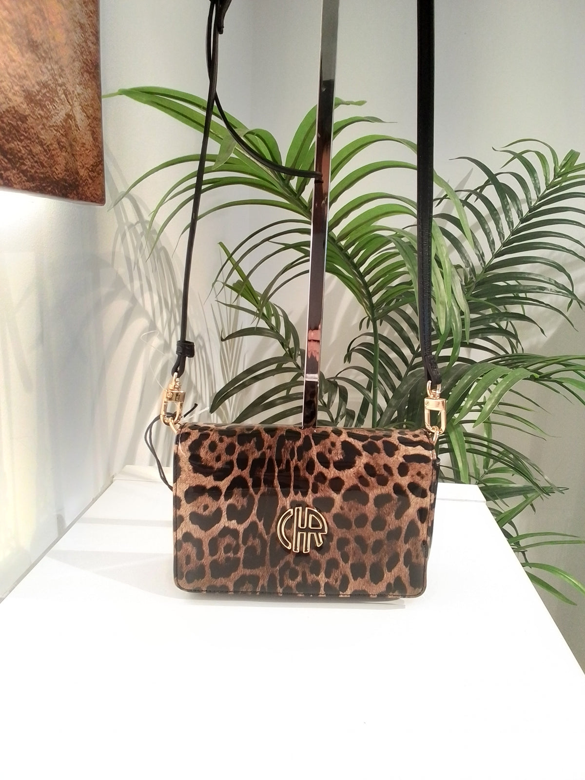 CS262090 LEOPARDO CACHAREL