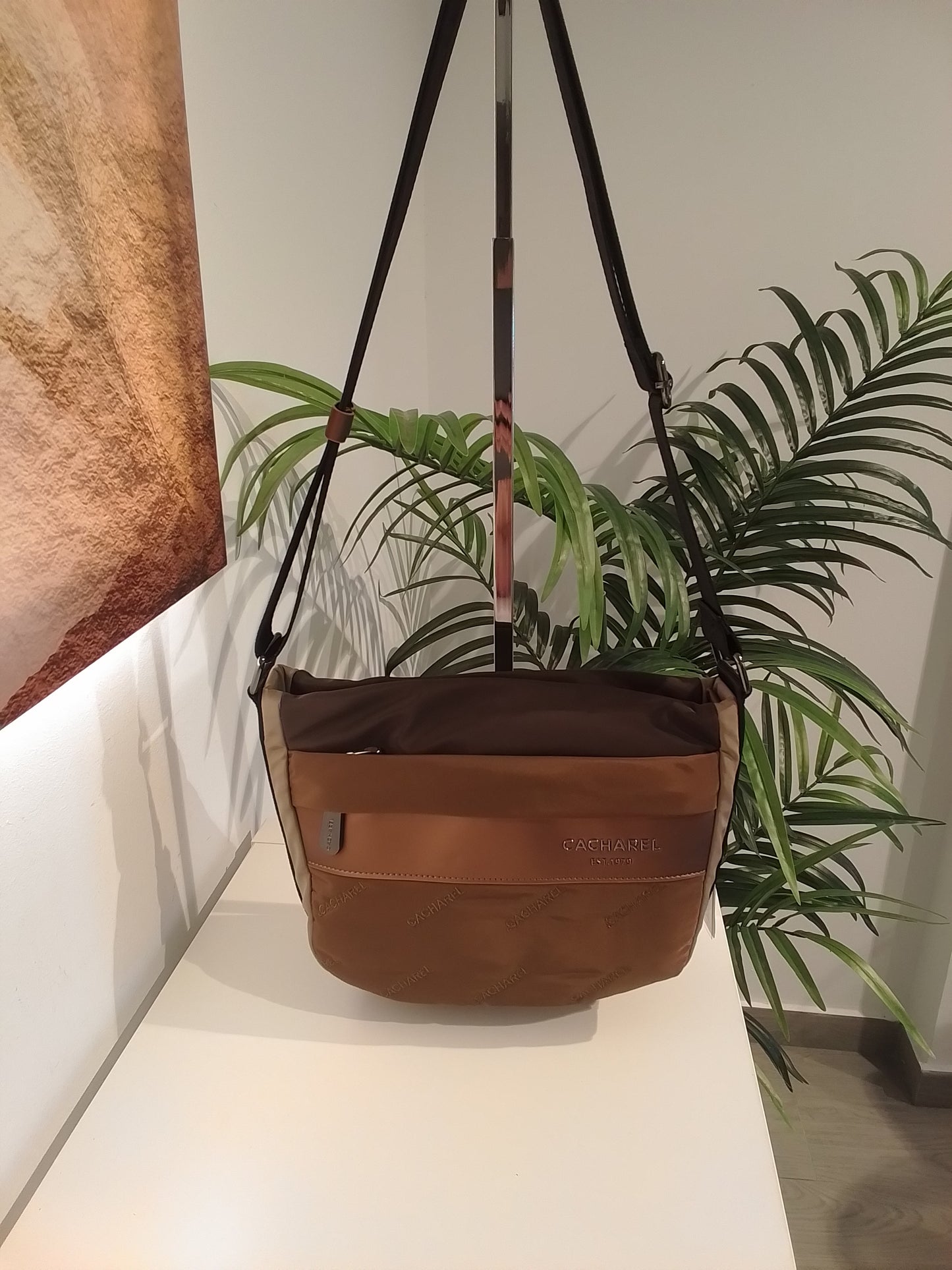 CA262003 MARRON CACHAREL
