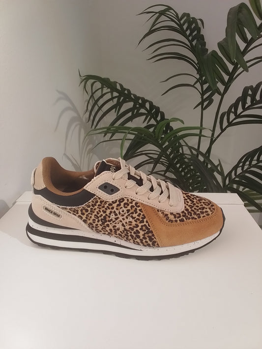 BLAKE ANIMAL-IN25 LEOPARDO  POPA