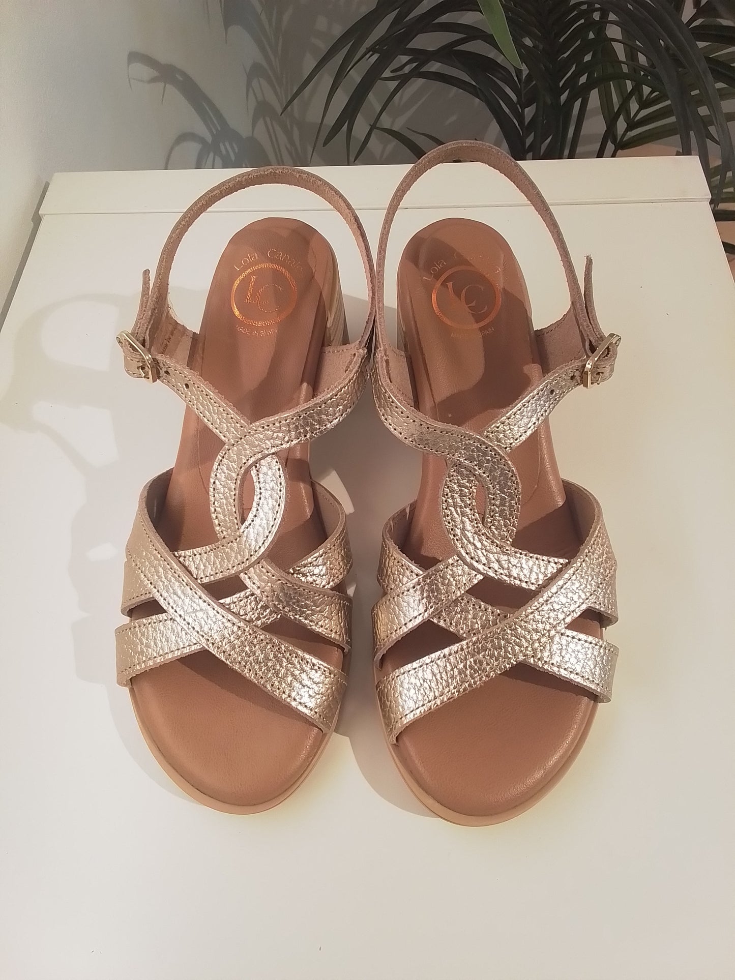 85405-V25 CHAMPAGNE LOLA CANALES