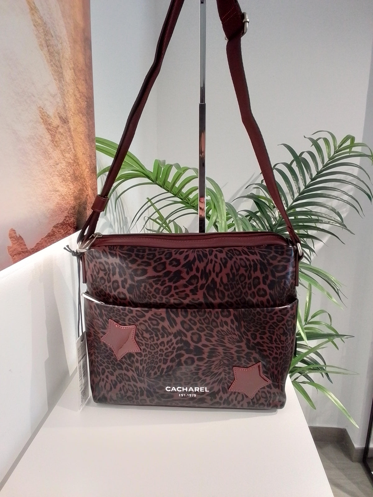 CE262023 MERLOT CACHAREL