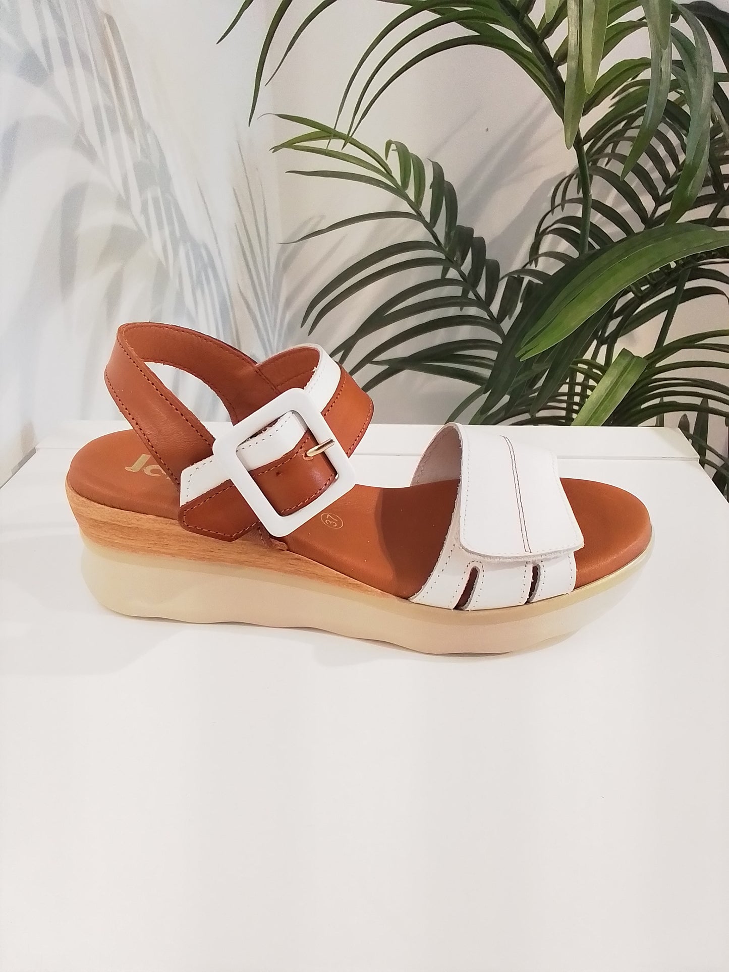 4930 BLANCO JORDANA