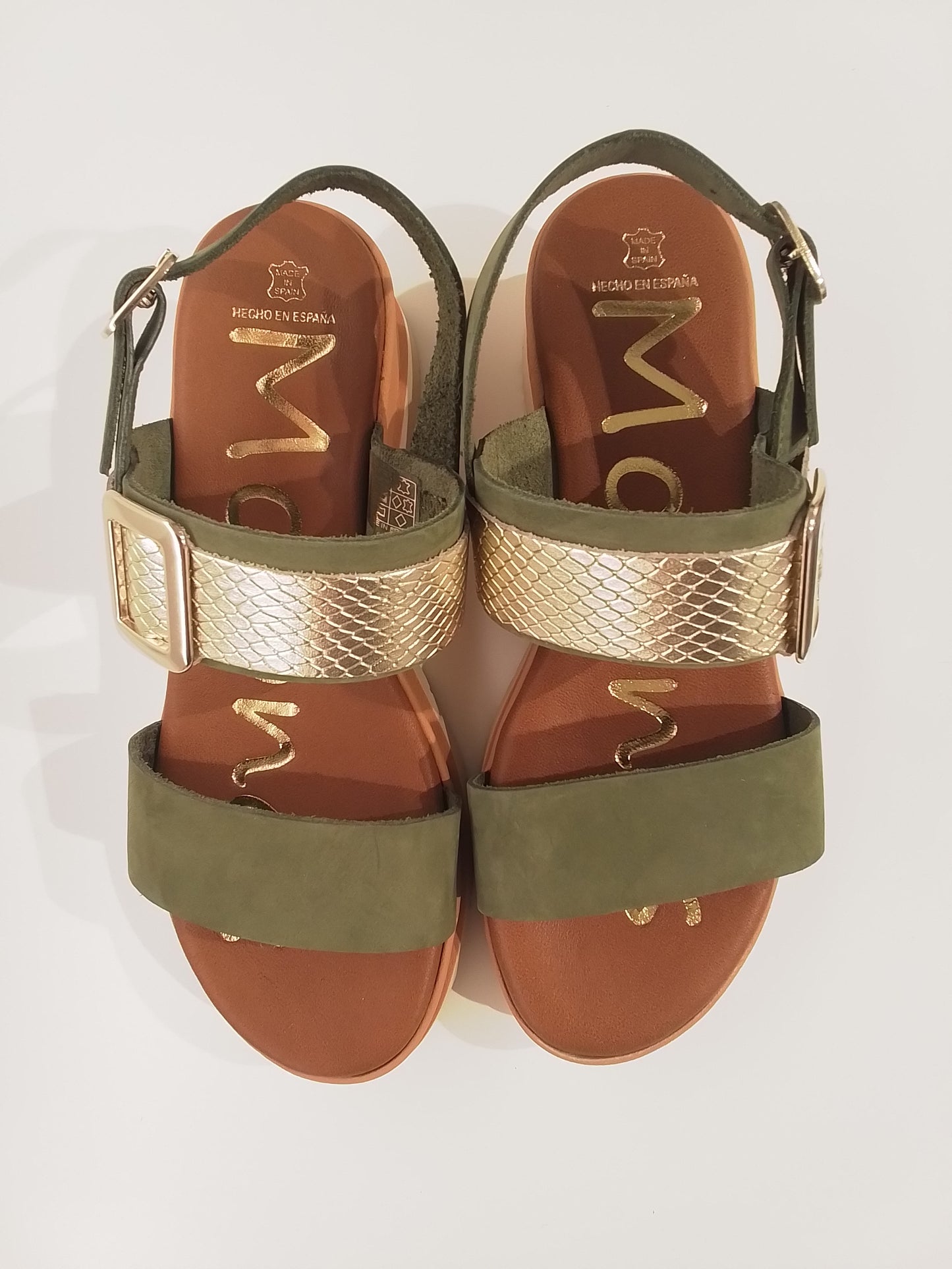 153754 OLIVA MOLONAS