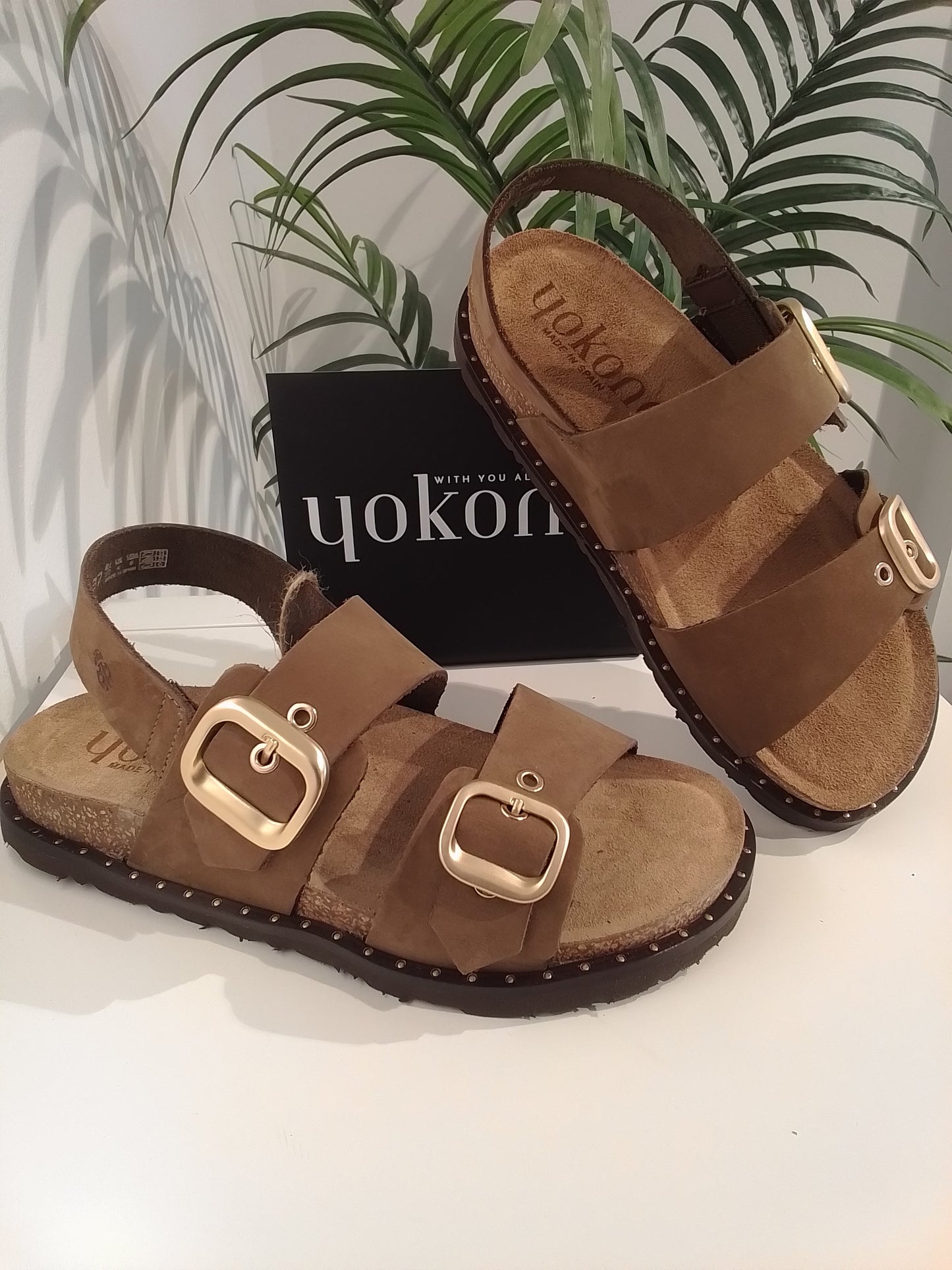 BOLUS252 MOCHA YOKONO