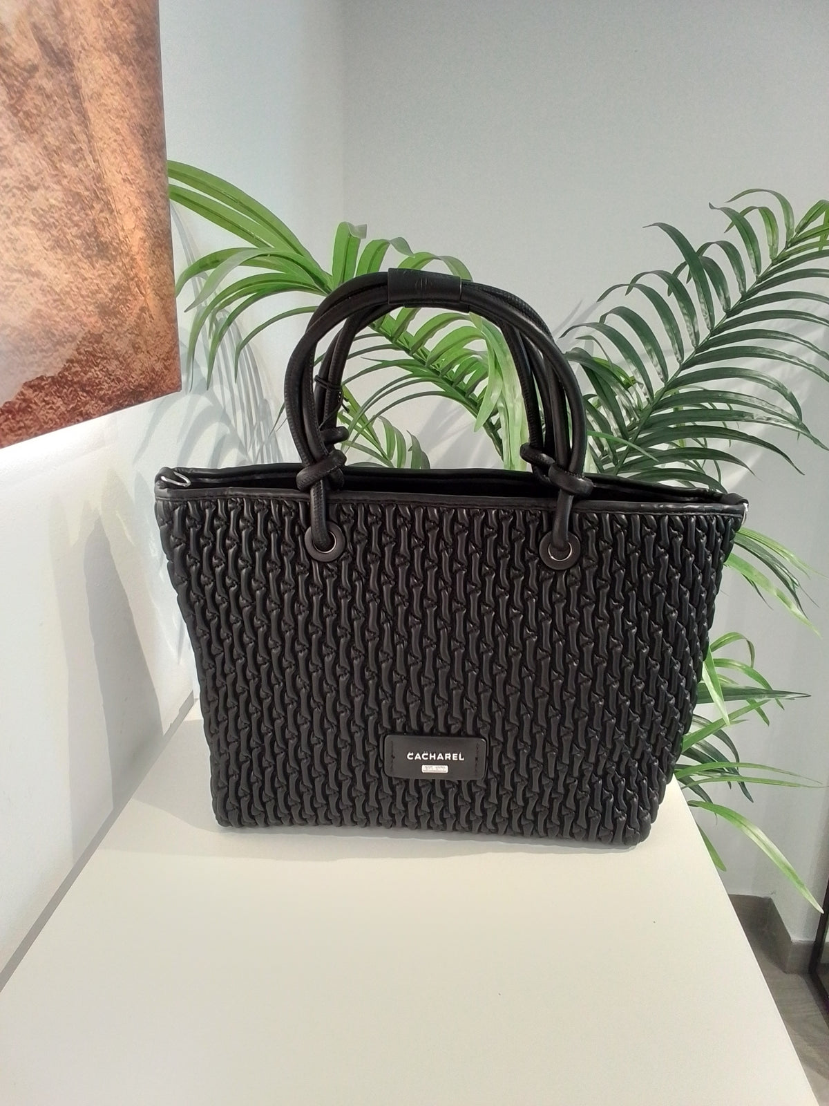 CW262113 NEGRO CACHAREL