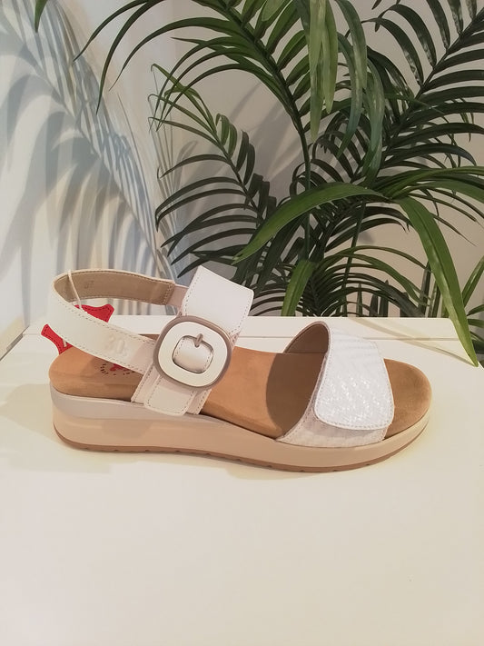 4531 BLANCO TREINTAS
