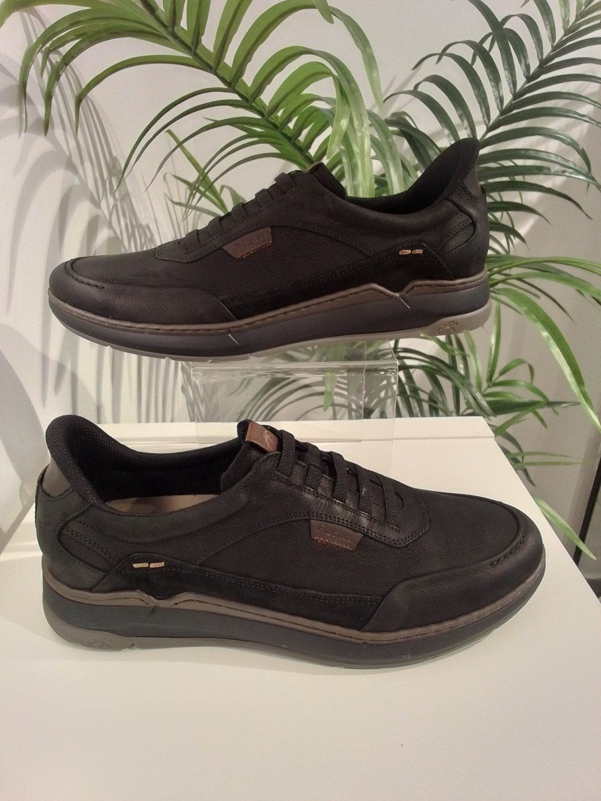 F2511 VEGABUCK NEGRO FLUCHOS