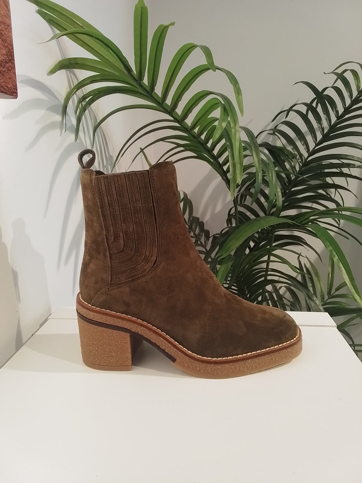 5673 OLIVA ANOTHER TREND